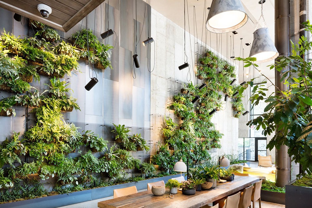 Muôn kiểu thiết kế thi công tường cây xanh