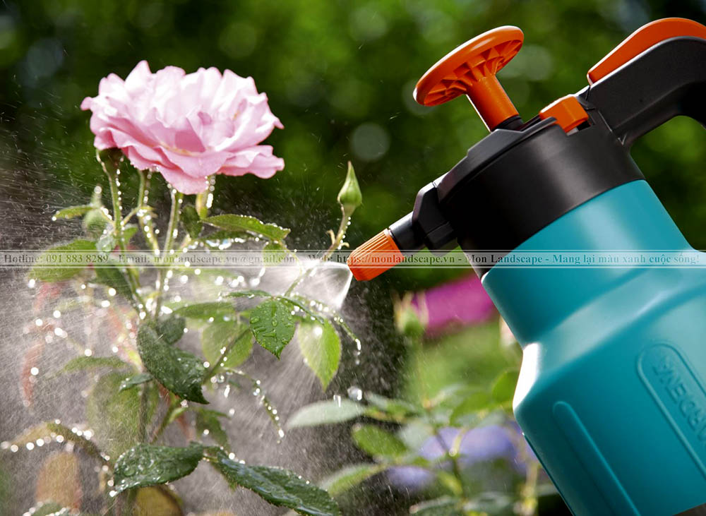 Tưới cây vào mùa mưa quan trọng như thế nào? 