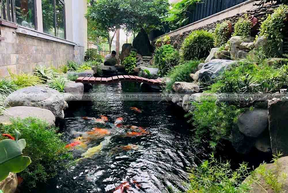 Tiểu cảnh tĩnh và tiểu cảnh động là gì?